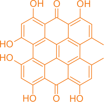 Hypericin molecule structure