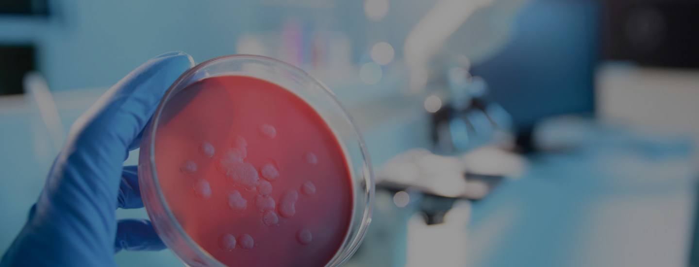 Pertri dish that contains bacteria of unmet medical needs