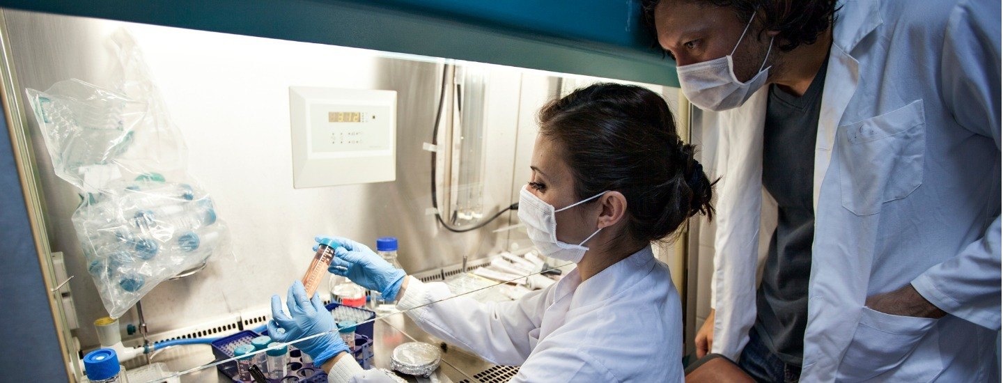 Doctors looking over stem cells